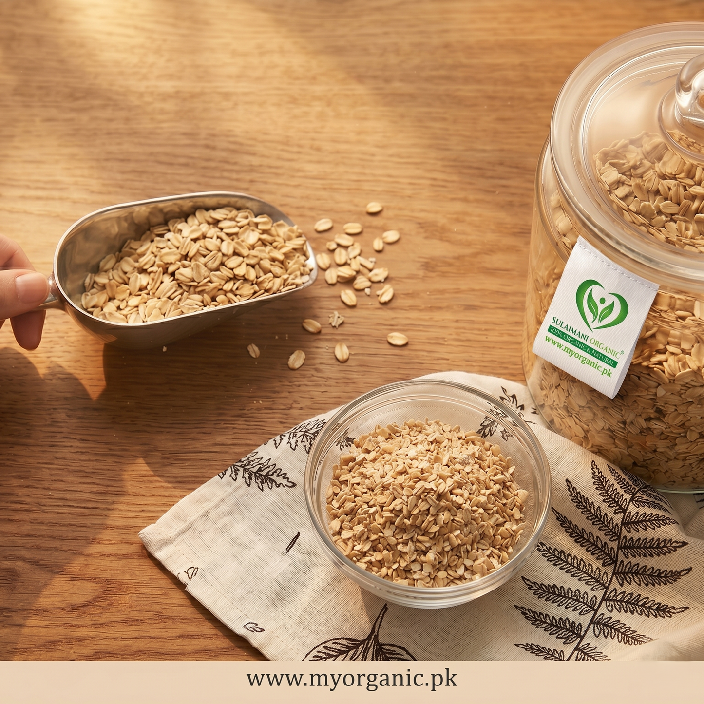 Premium Oats β Healthy Fiber-Rich Breakfast
