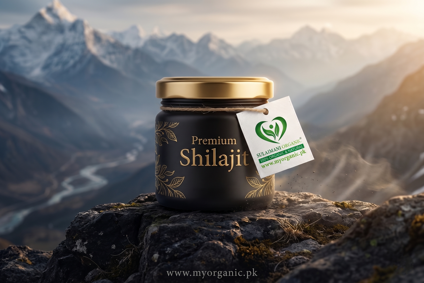 Shilajit β Pure, Natural Energy Booster