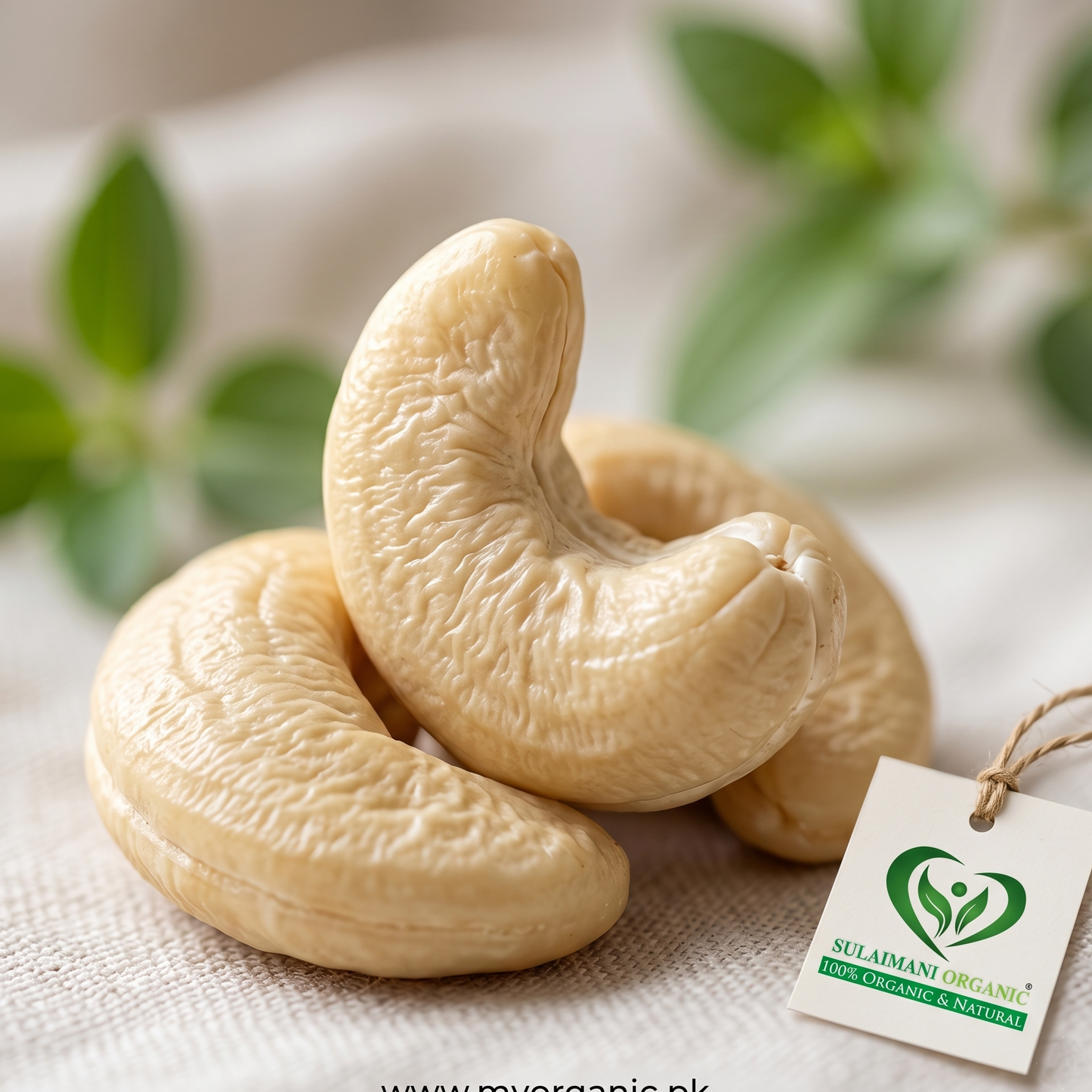 Premium Cashew nuts (Kaju) Non-Roasted
