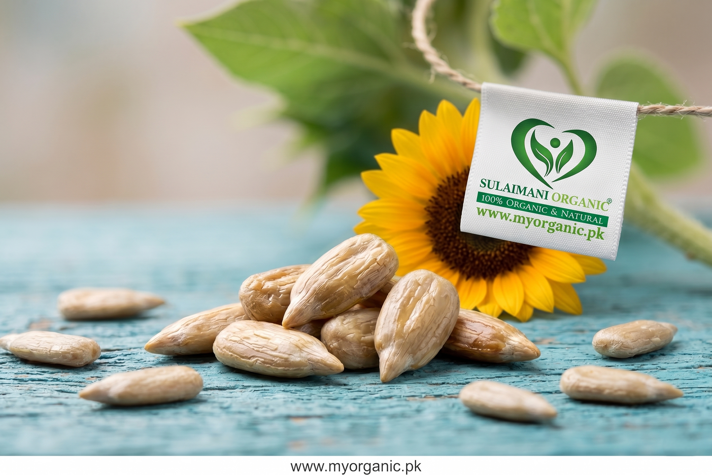 Sunflower seeds Without Shell
