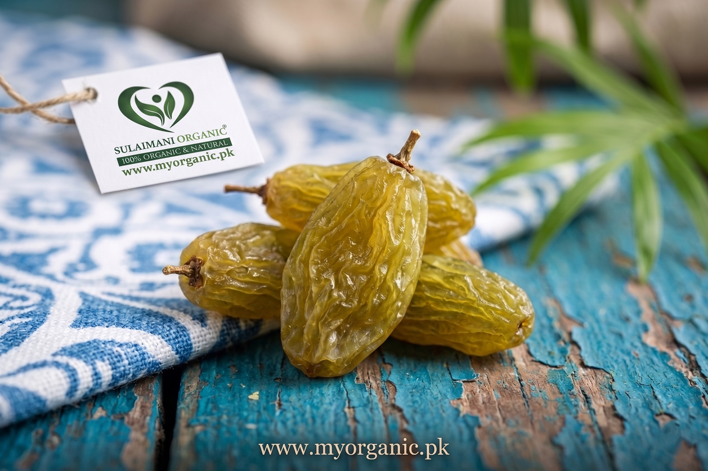 Premium Green raisins (Sundar Khani Kishmish)