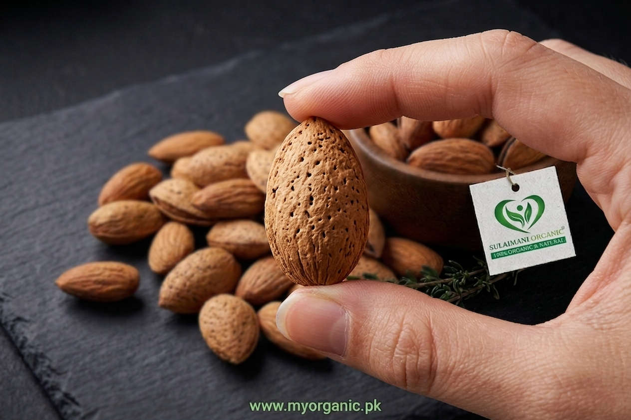 Premium Almonds (Badam)
