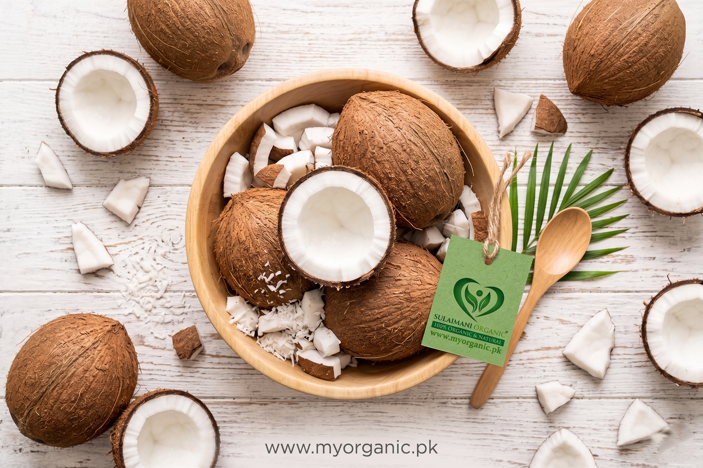 Premium Coconut (Sri Lankan)