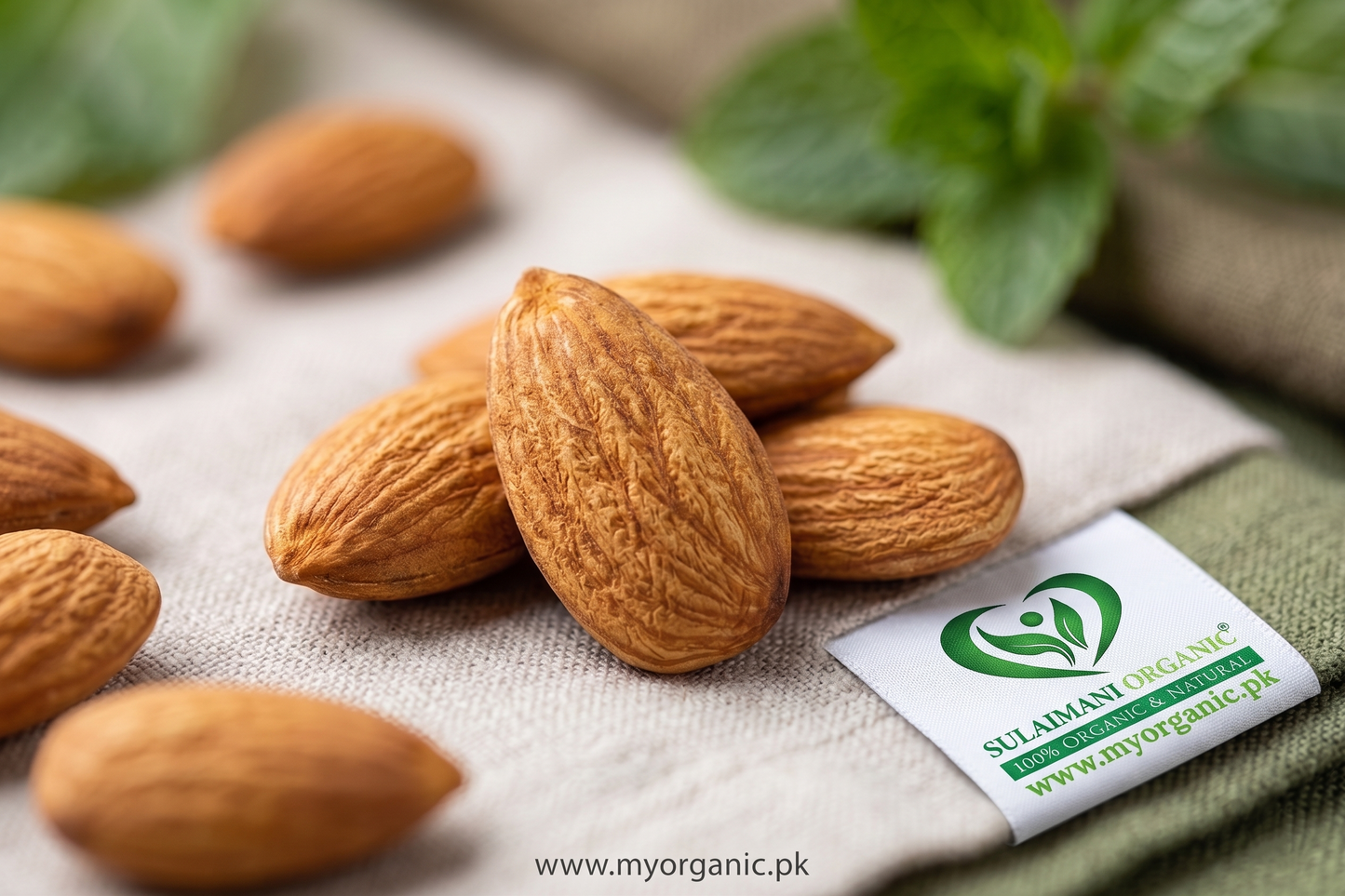 Premium Almonds Without Shell (Badam Giri)
