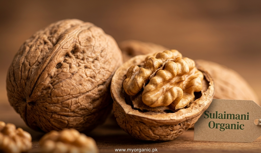 Premium Walnuts in Shell (Akhrot Sabut)